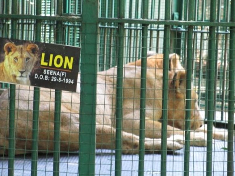Trivandrum zoo-1